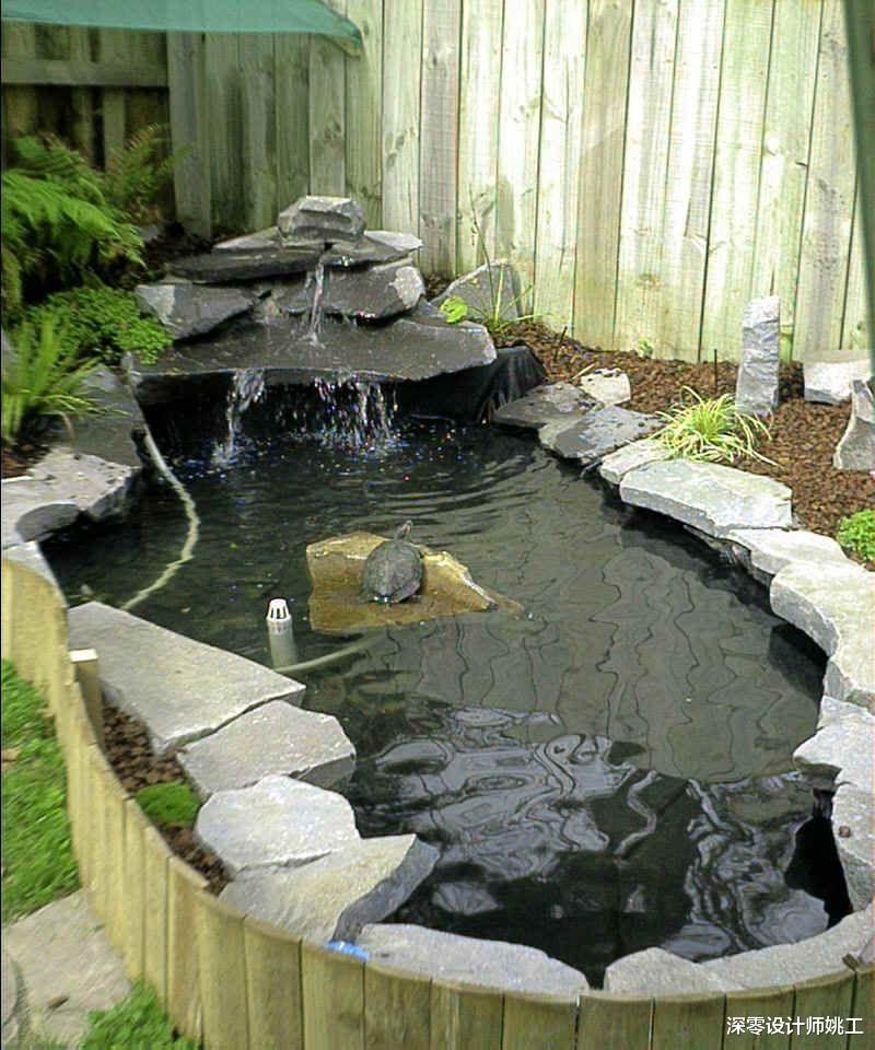 老一辈的人就是闲不下来,家里附带的院子,他们也给拿来养花种菜