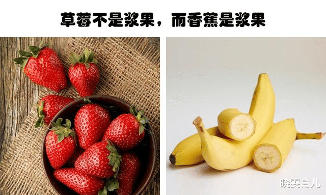 虽然看起来像是假的 但却真实存在的9个有趣的冷知识