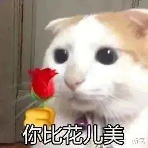 饮食 好身材是怎么吃出来的？这篇文章刷新你对于保持身材的认知！