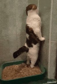 我的世界|“钓鱼被咬了一口,谁知道这是什么咬的?”