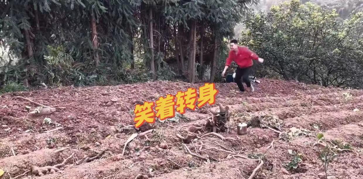 姐姐“暴打”亲弟弟,被一招制敌,老妈笑得最响,网友:亲生的