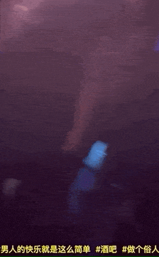 徐童|大S亲手打脸狗仔葛斯齐,否认怀孕