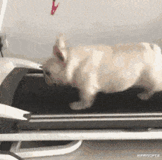 |洗衣服时不小心把洗衣粉倒多了,第二天嫂子就和我哥离婚了