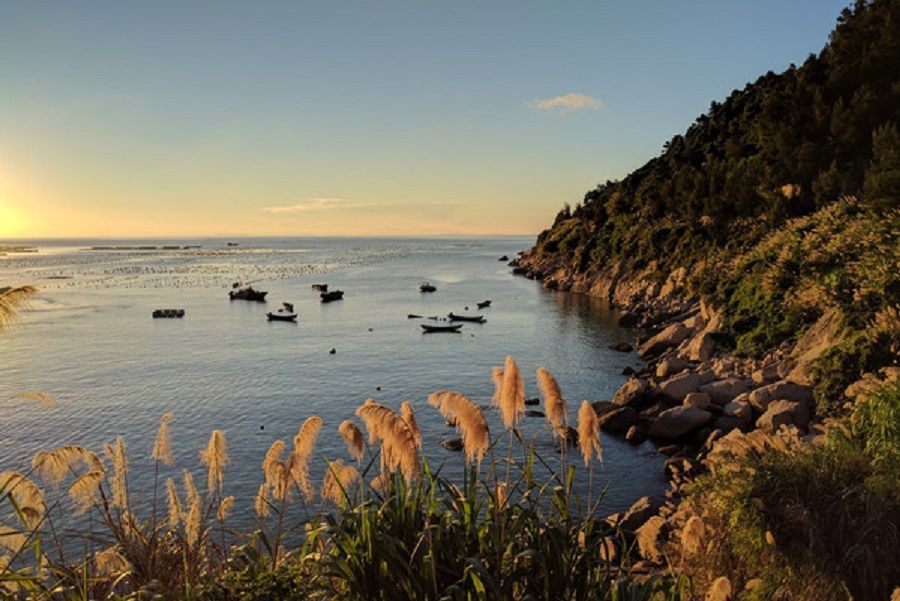 浙江省|浙江观海地，这个小长假就去追海豚、观海鸟，享受安静古朴的渔村