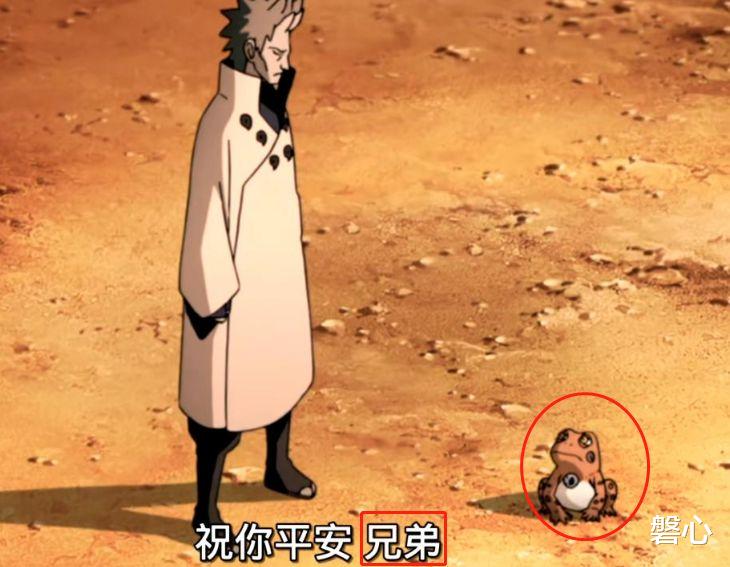 火影忍者|蛤蟆仙人后代被杀,为何不找木叶算账?看到当时火影明白了