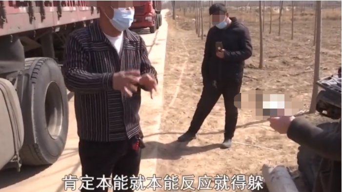 河北,杨先生开货车拖货,到目的地时,已经天黑,他就将车停在道路上