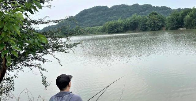 水库|野外钓鱼,用这几种方法,可快速判断水里是否有鱼,鱼会不会开口