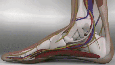 失眠|你脚又崴啦,如何教科书式自救?