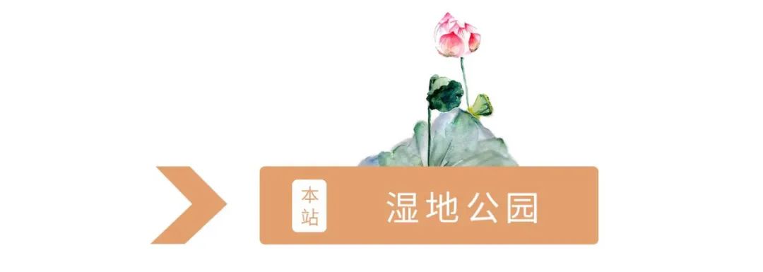 没有一个南昌人，能拒绝25路公交！