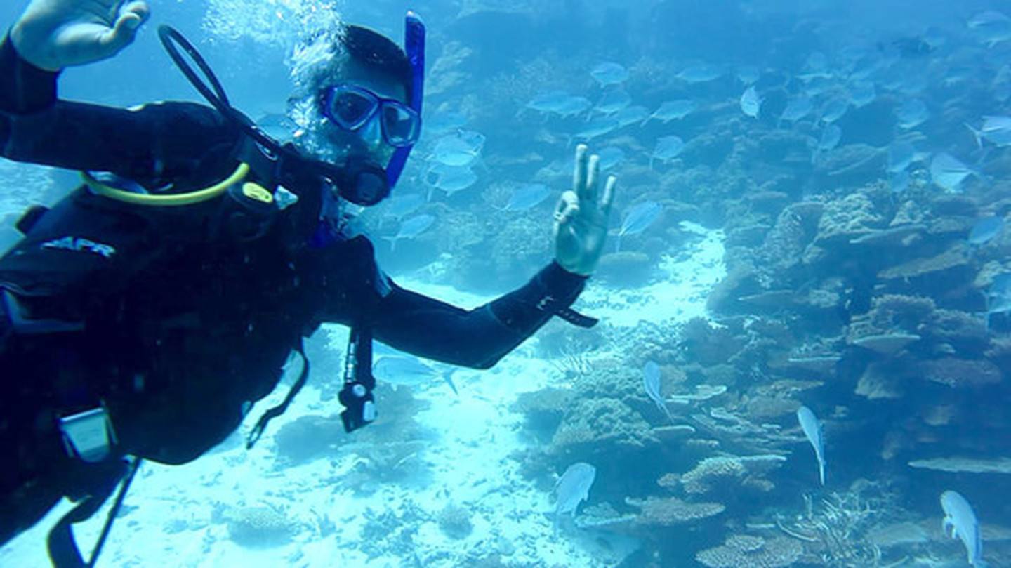 康佳|金枪鱼鳍的液压控制,为开发具有液压驱动的软机器鱼提供了灵感