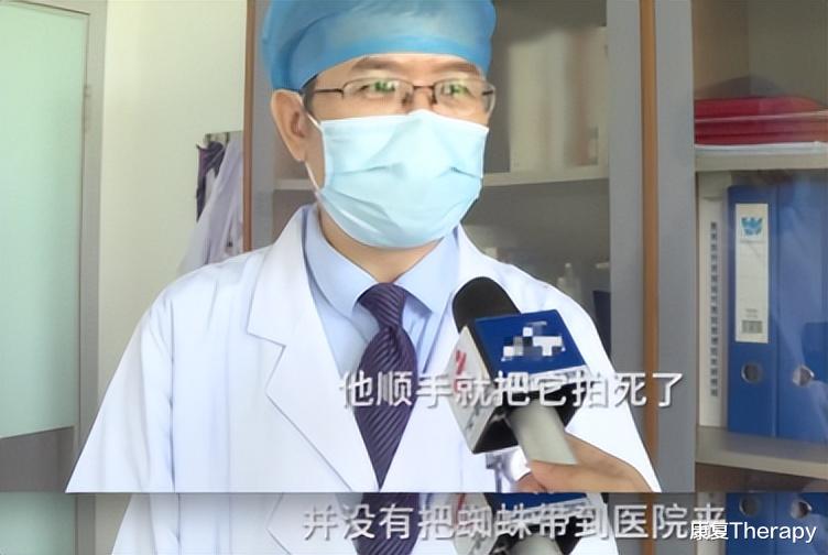 被蜘蛛咬一下,会变成蜘蛛侠?医生提醒:不一定,也有可能进ICU