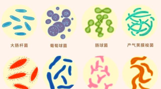 不靠氧气生存的动物?科学家不清楚原因,或颠覆对生命的认知