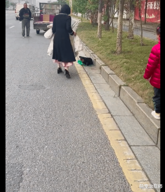 女士在救助流浪狗时，被狗狗误咬伤了嘴巴，她还坚持伤痛继续救！