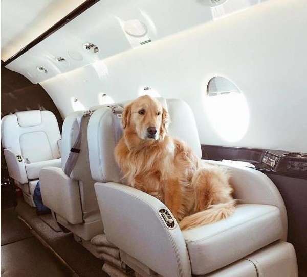 俄罗斯摄影:让你也可以体验一把富豪的生活