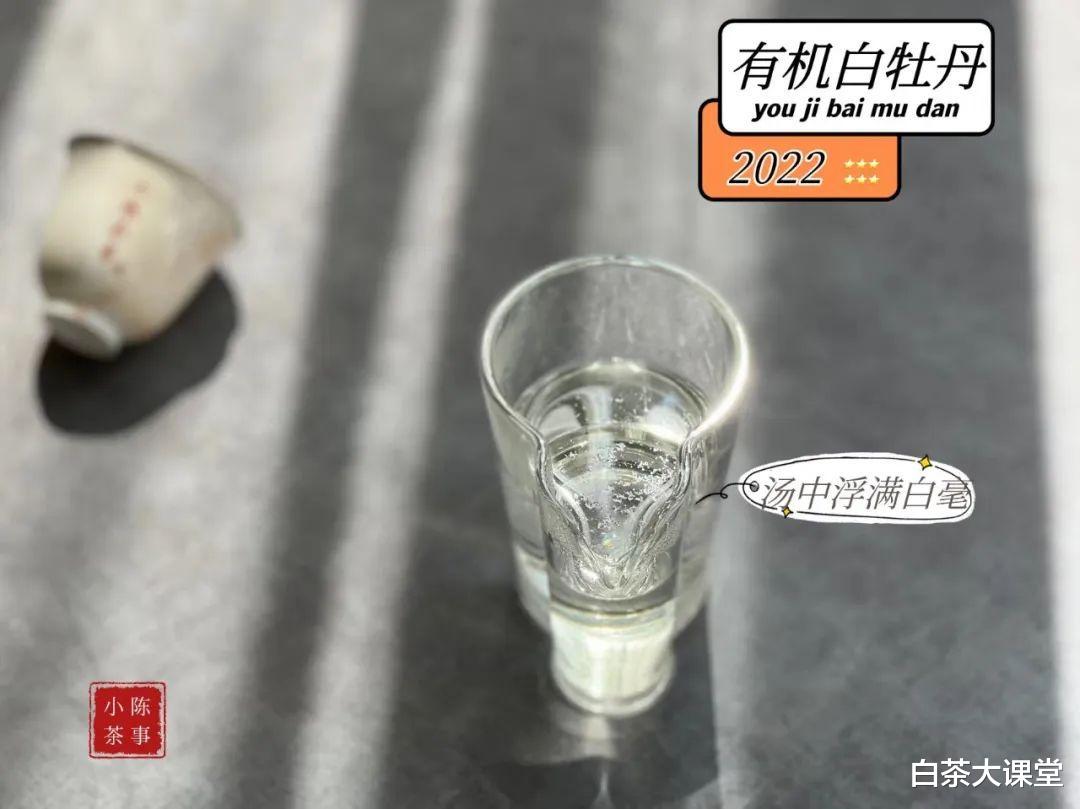 茶叶|闻干茶香要“摇一摇”,闻盖香要“趁热”,全是老茶客经验之谈