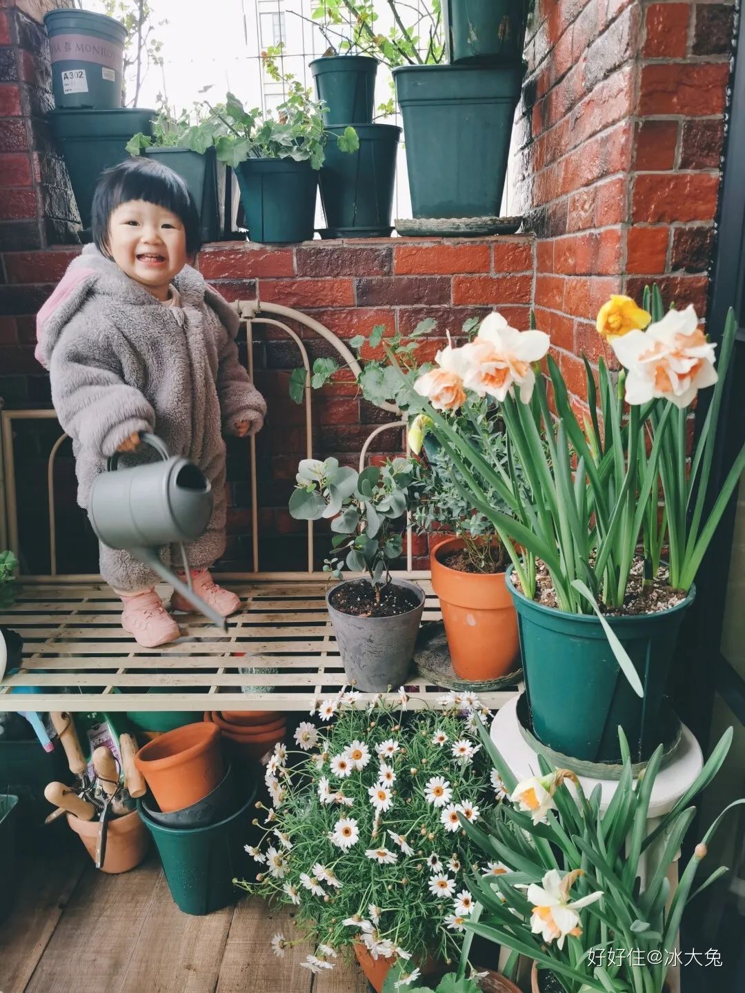 看完她家，我把双阳台列入刚需了