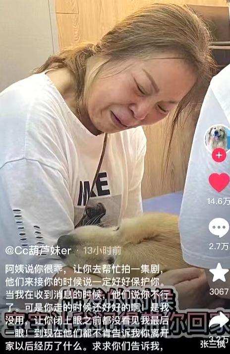 宠物医院|网友借爱犬给剧组拍摄却离奇死亡，嘴里都是泥沙跟血，剧方回应了