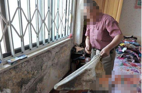 老师傅吆五喝六痛骂道:脑子坏了,才装这13处!全是败家不实用项