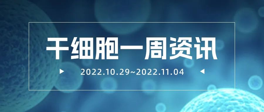 干细胞一周资讯(10.29-11.04)