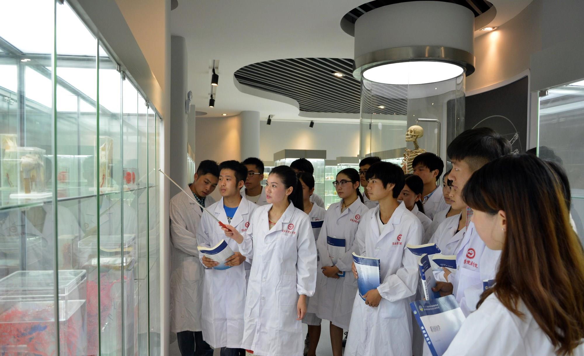 |儿媳职业鄙视链走红，会计成“最大输家”，榜首比公务员还受欢迎