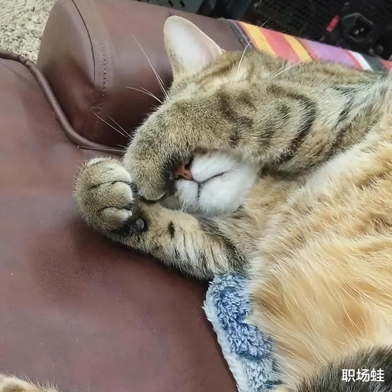 华为|这家让我下周去报到,要不要去?我也没有其他Offer......