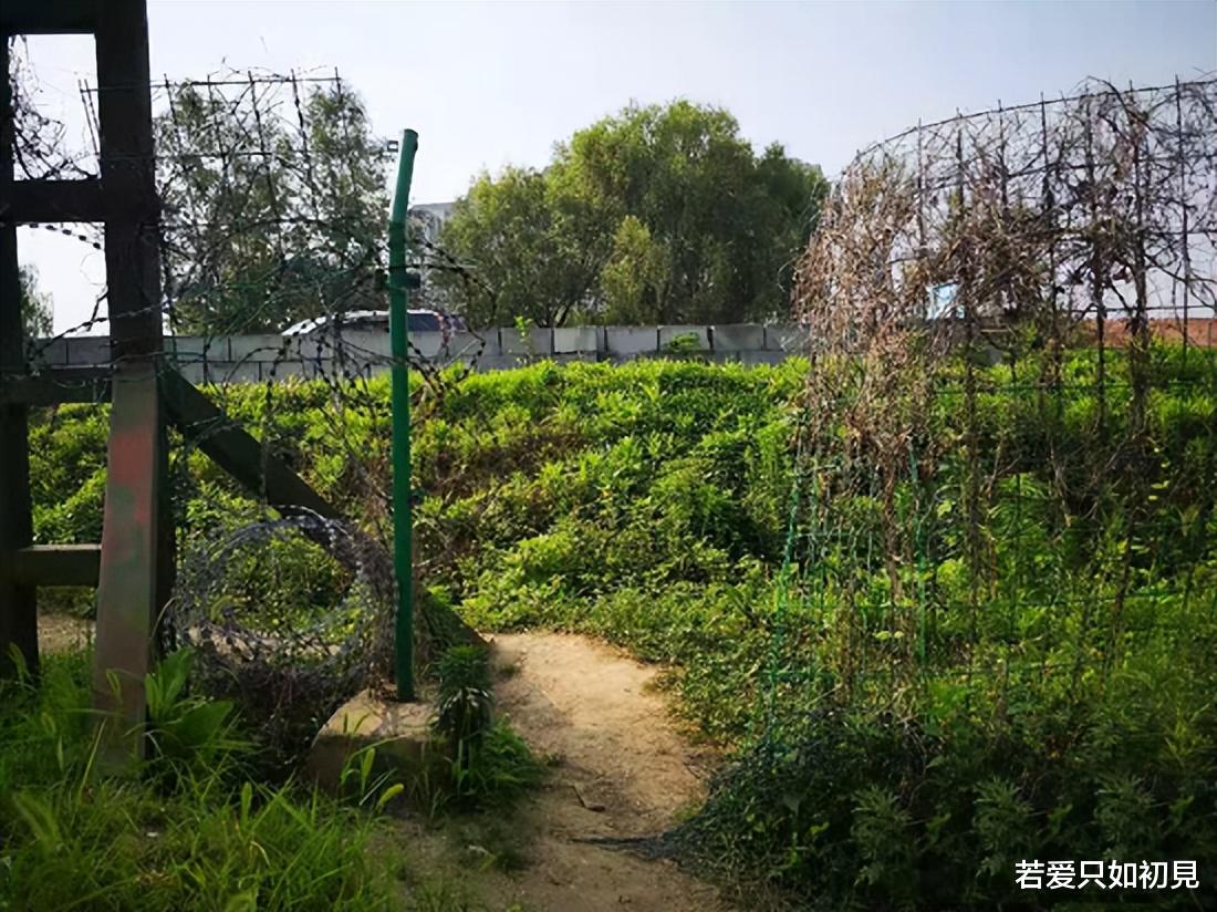 |非法垂钓被刑拘?和钓鱼关系不大,能忍到现在算脾气好