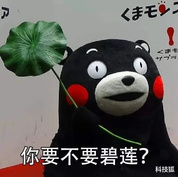 meta|全球第一社交 App ,遭大范围封杀