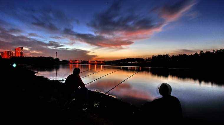 钓鱼|在冬季钓鲫鱼的“窗口期”出钓,能过把钓鱼瘾,还可能连竿爆护