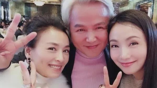 张庭|张庭和陶虹会不会坐牢？