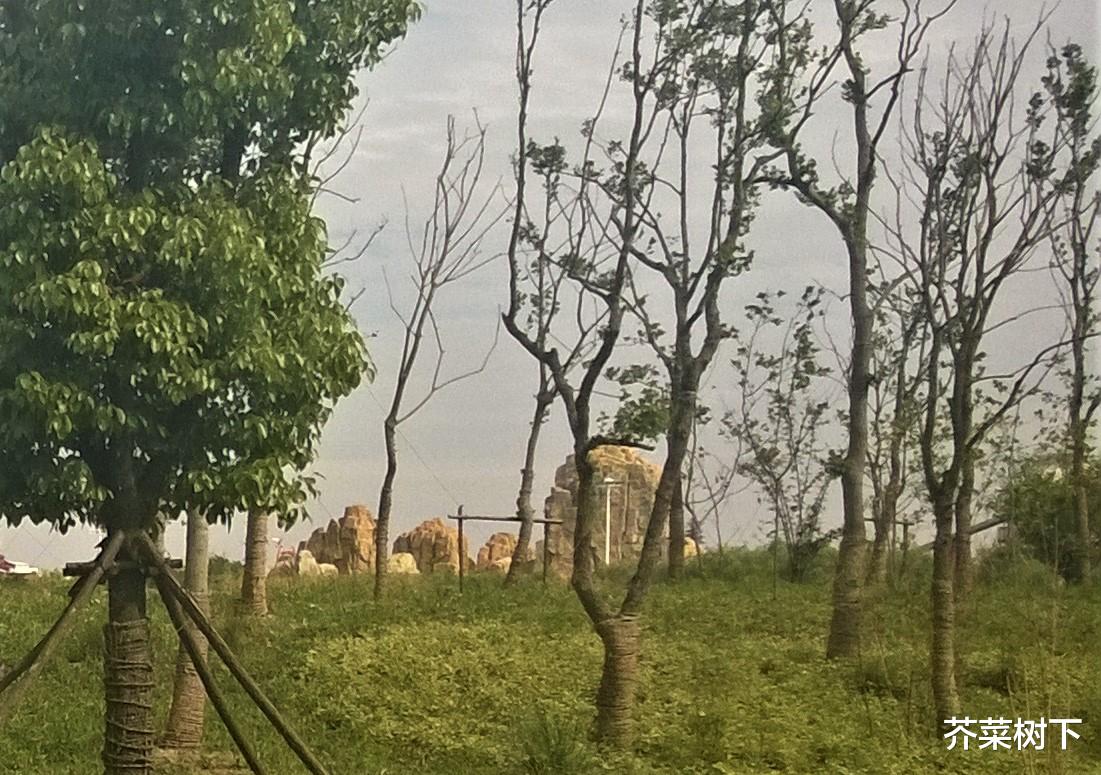 连衣裙|行走职场,不需时时处处八面玲珑