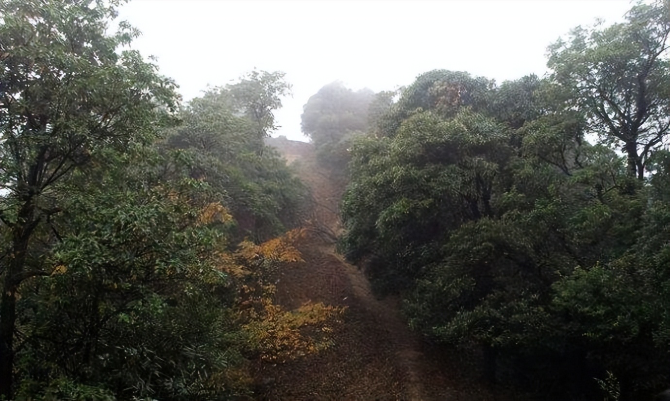 广西|登山遇仙记