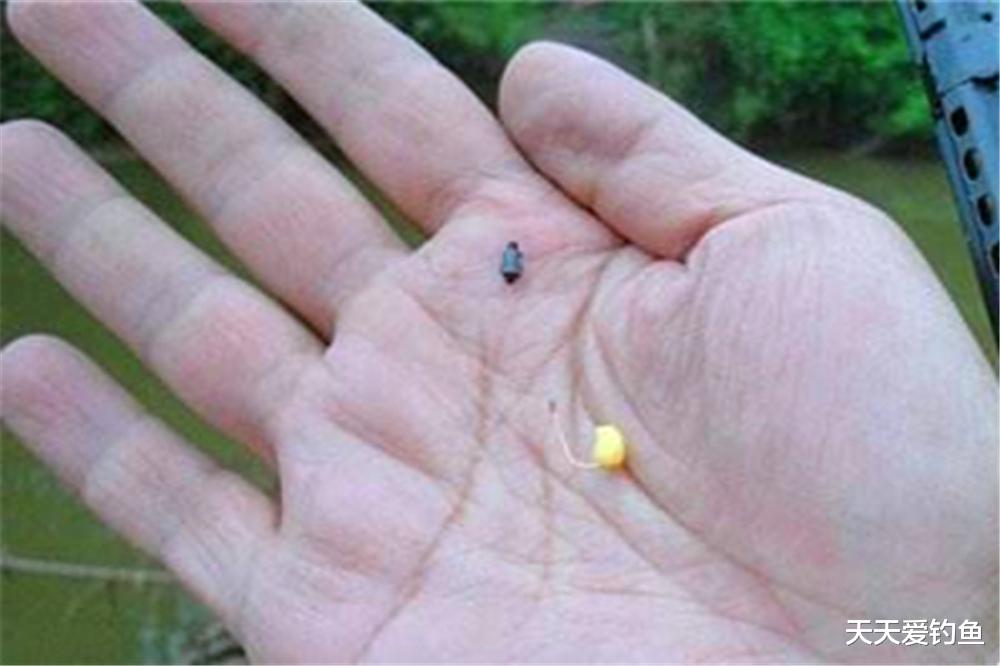 |春季野钓鲫鱼,钓鱼老手教你5招,连竿大鲫鱼百试百灵