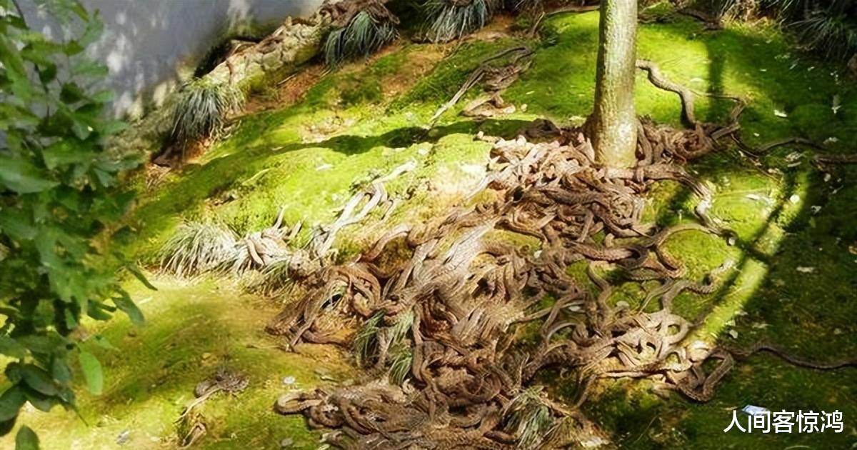 |“再有钱也不要去”,世界上4个禁止进入的神秘禁地,你敢去吗?