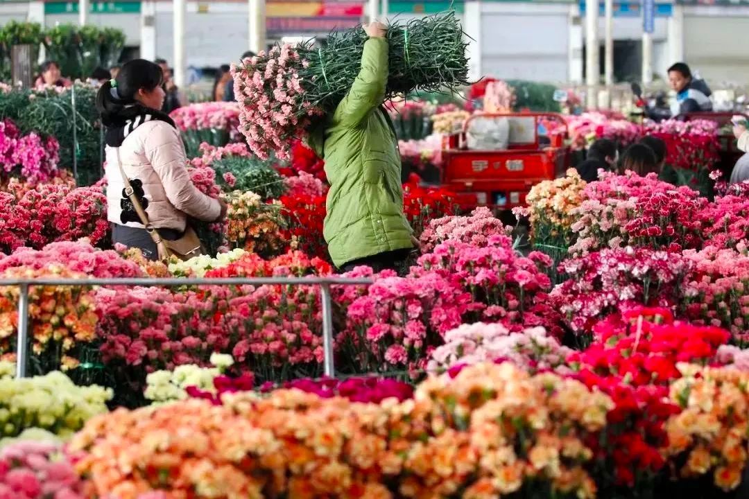 云南|最多336元！云南两大旅游胜地火车直达，这趟列车每一站都绝美
