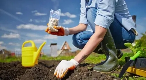 欧洲协会:可堆肥降解塑料对土壤健康有5大好处