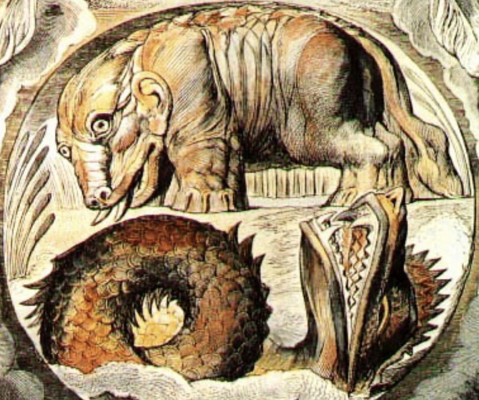 《哥斯拉:怪兽之王》片尾出现的“猛犸象”有什么来历?