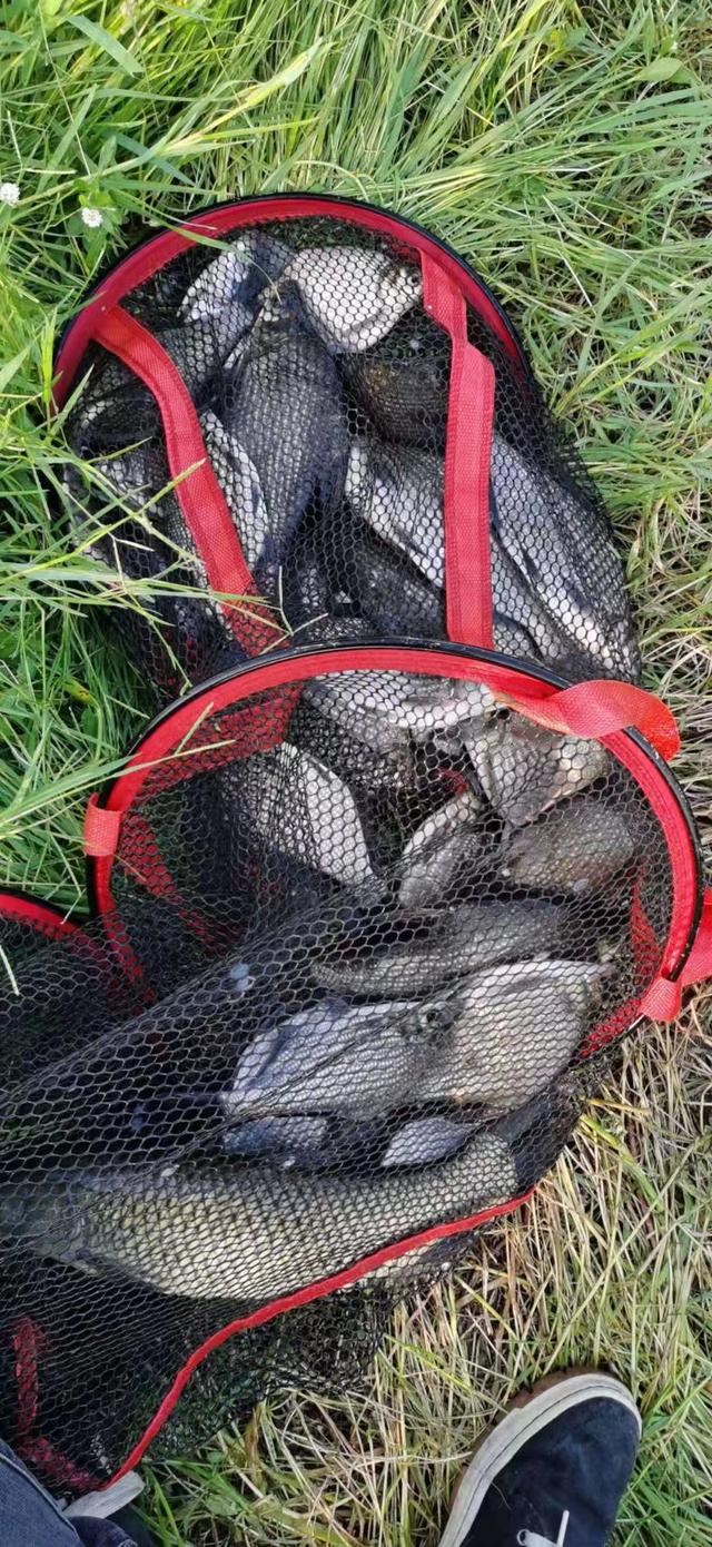 |分享私藏多年的野钓圣地:山好、水好、环境更好!