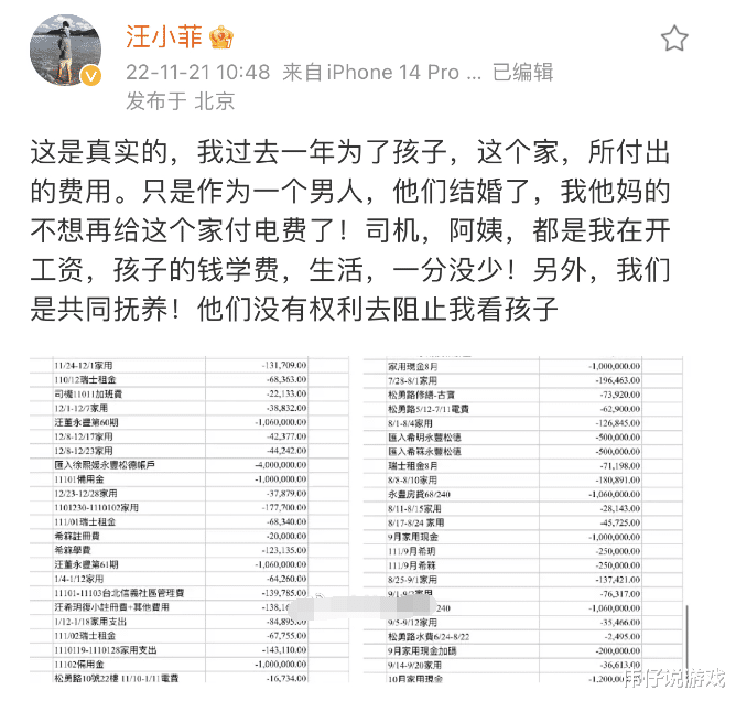 行尸走肉|前脚台媒说汪小菲不付抚养费 后脚汪小菲就拉了Excel流水