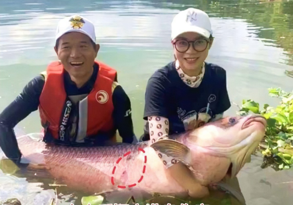 |野钓：钓鱼小妙招详解