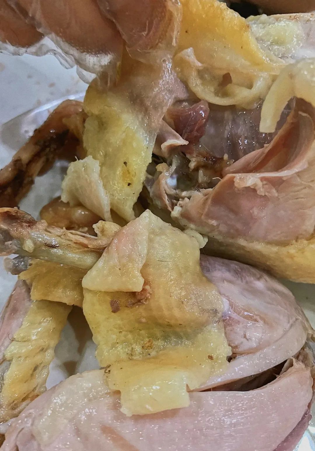 芙蓉区|是时候去海口吃一趟了!