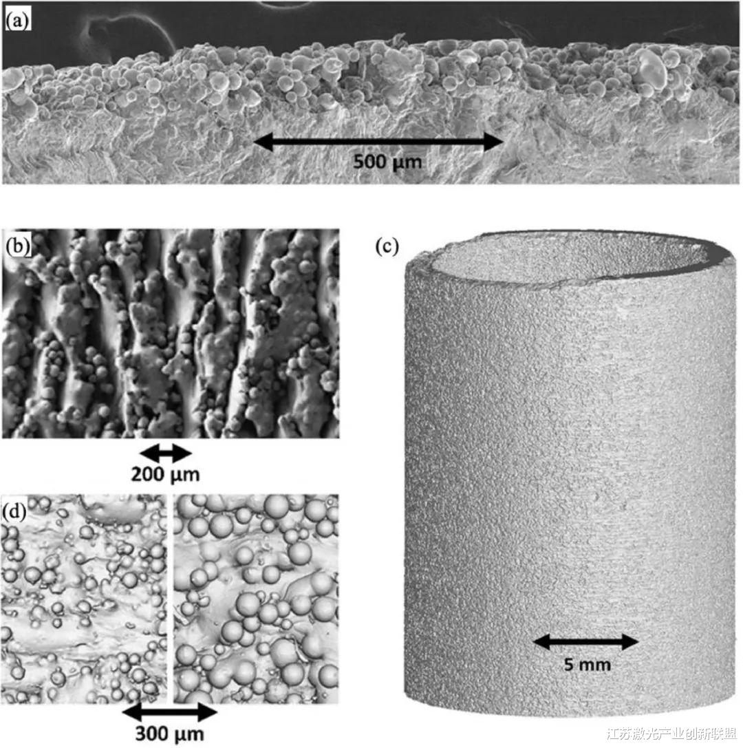 顶刊《Acta Materialia》:微柱压缩方法来研究增材制造合金塑性流动特性