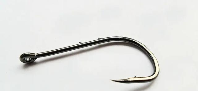 死亡率|为什么有些鱼被钓上来再放回水里，它也活不长？