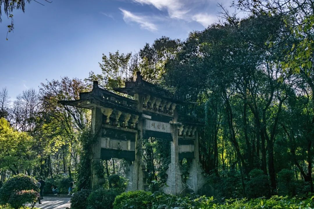 西溪湿地|继新疆被挤爆之后，大理也沦陷了苍山洱海变人山人海民宿飙升十倍