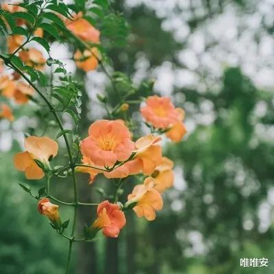 求职|我27岁，娃1岁，父母失业：帮父母找工作发现，太多中年人在求职的路上