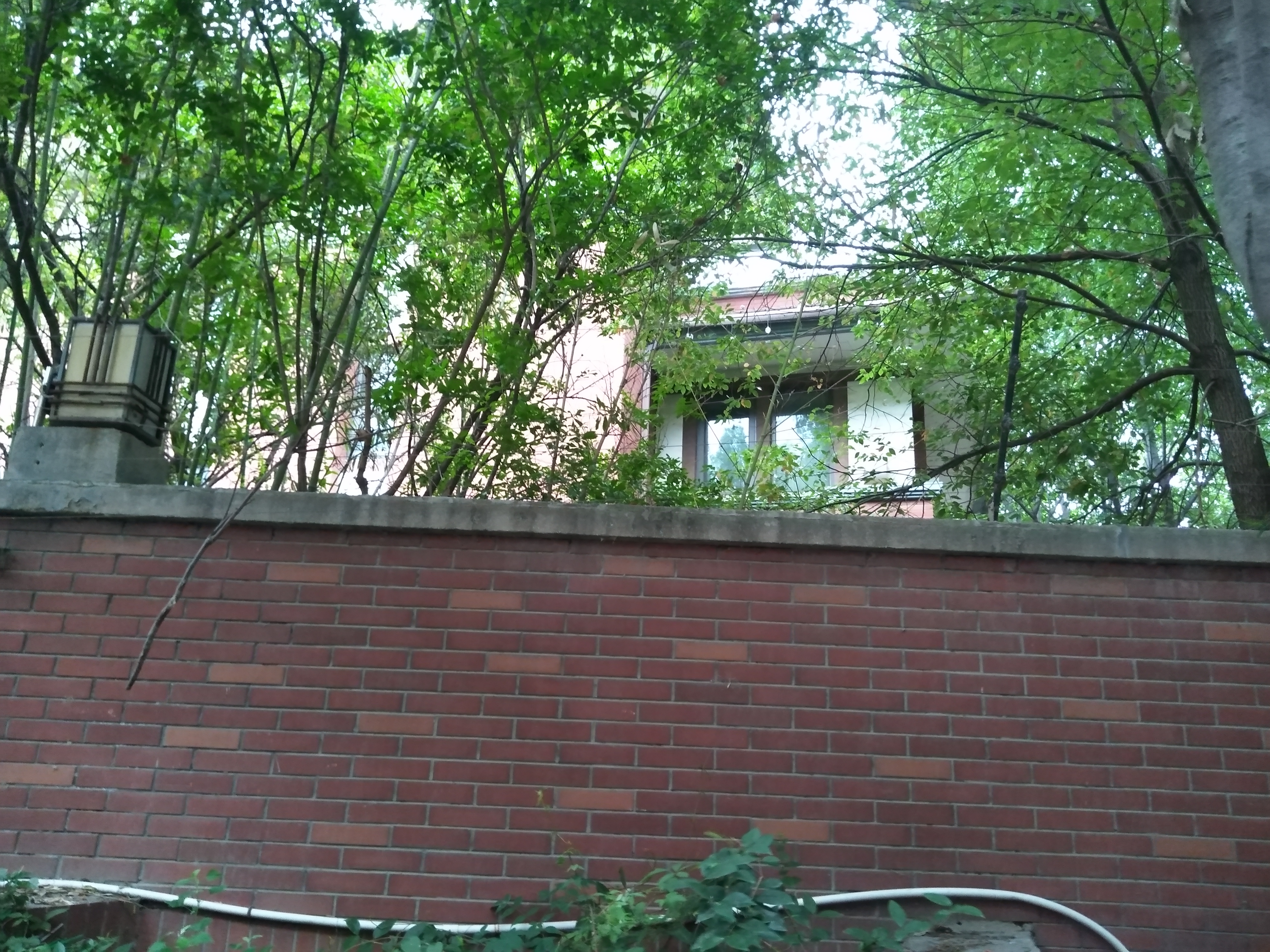 学区房|郑州迎宾路老式别墅