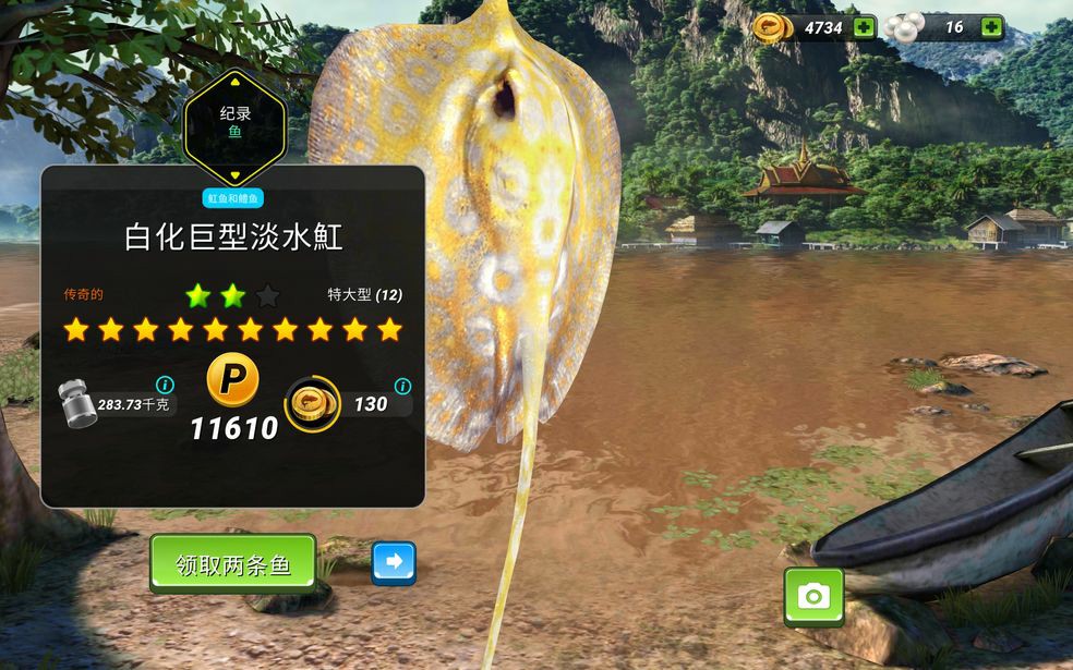 |粽香情浓畅享端午风味《钓鱼大对决》特色赛龙舟尽显垂钓魅力