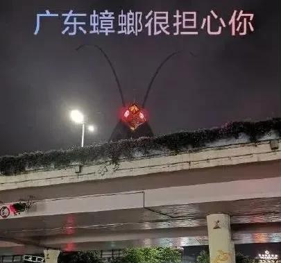 笑翻!广州又一大楼酷似蟑螂,吓坏北方网友:这得要多大的拖鞋
