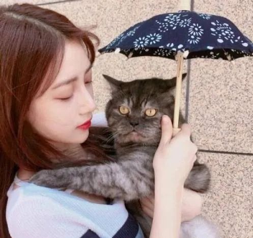 |虎年开运,能发财致富的命