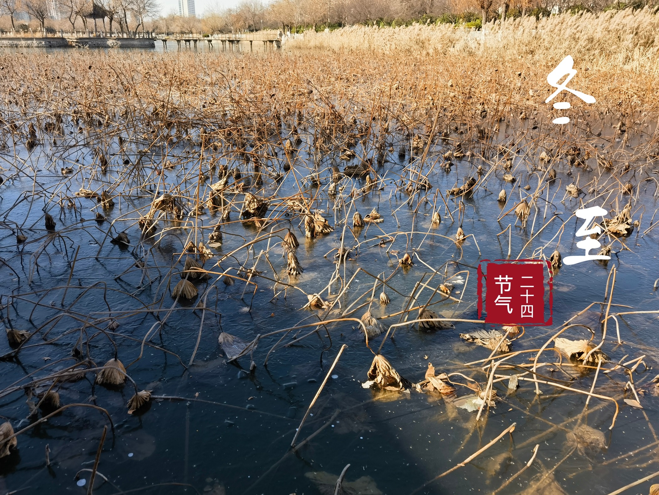 12月22日冬至，再忙也要记得吃4样，健康幸福过冬天