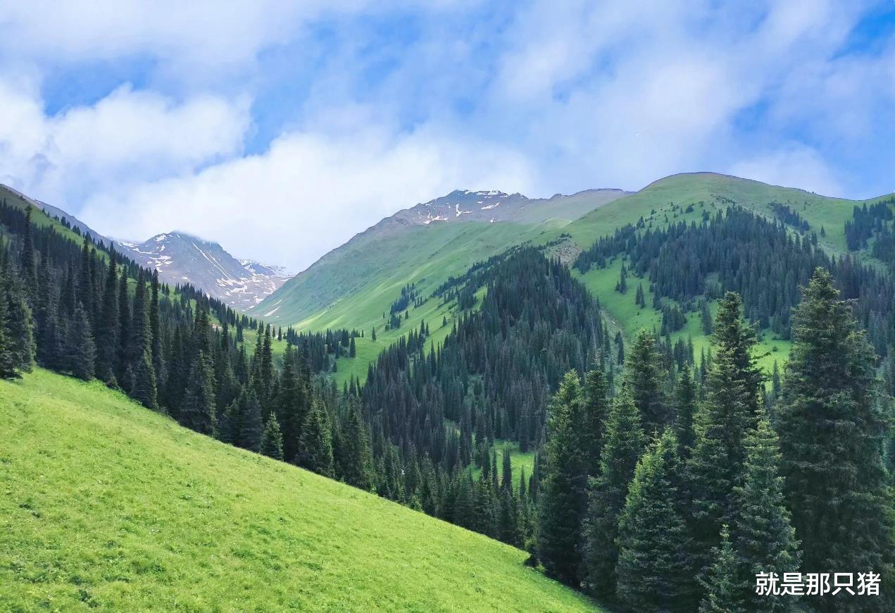 千岛湖|一个刚去过新疆的游客,来谈谈自己新疆之旅的旅行感受